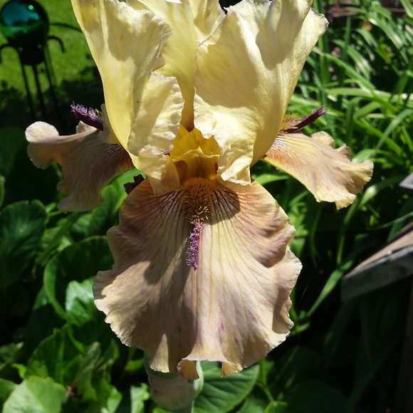 Meet your Posher - Picture 3 of 9